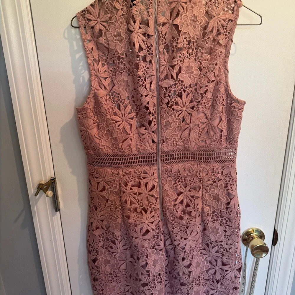 NWT Bardot Lace Mini Dress in Mauve